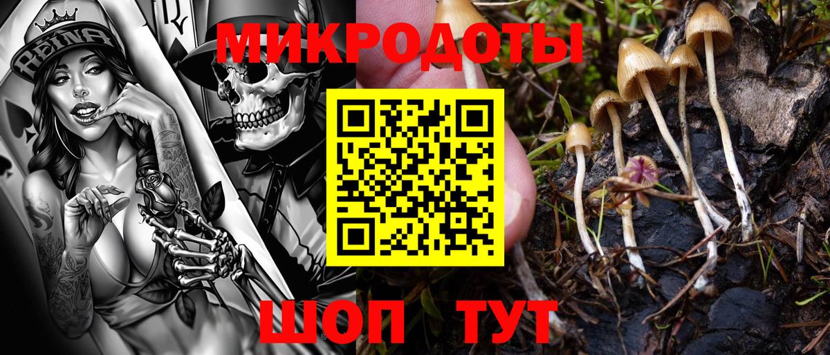 Кимры  Псилоцибиновые грибы прущие грибы  Вход с VPN 